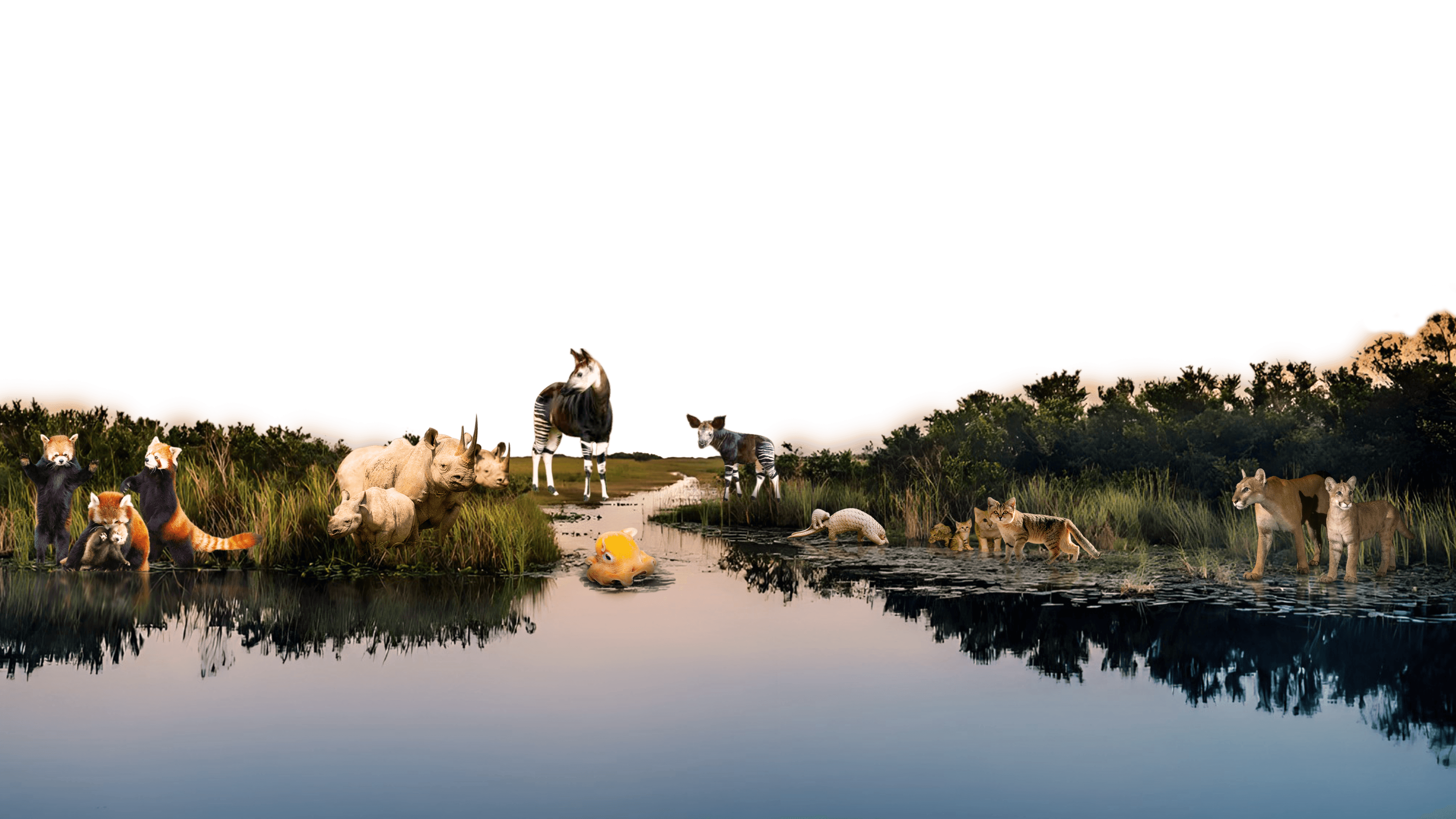 Parallax Layer