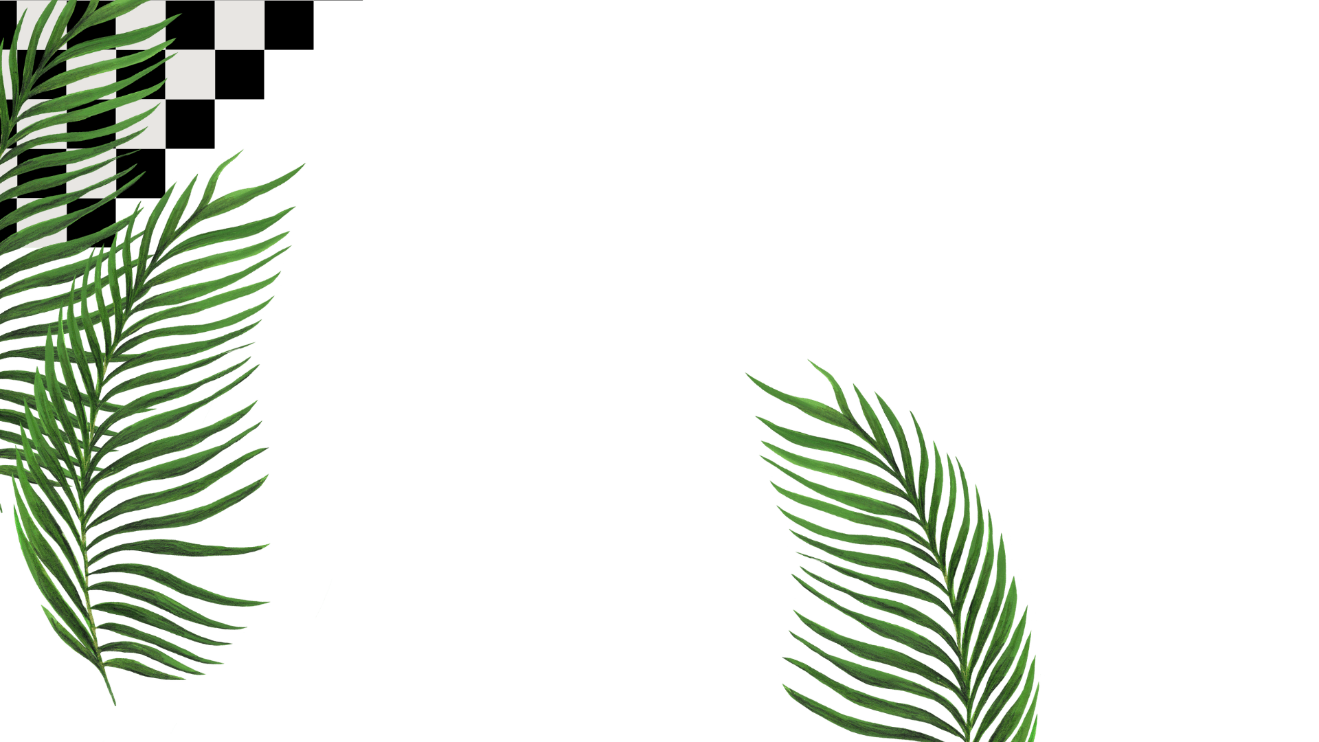 Parallax Layer