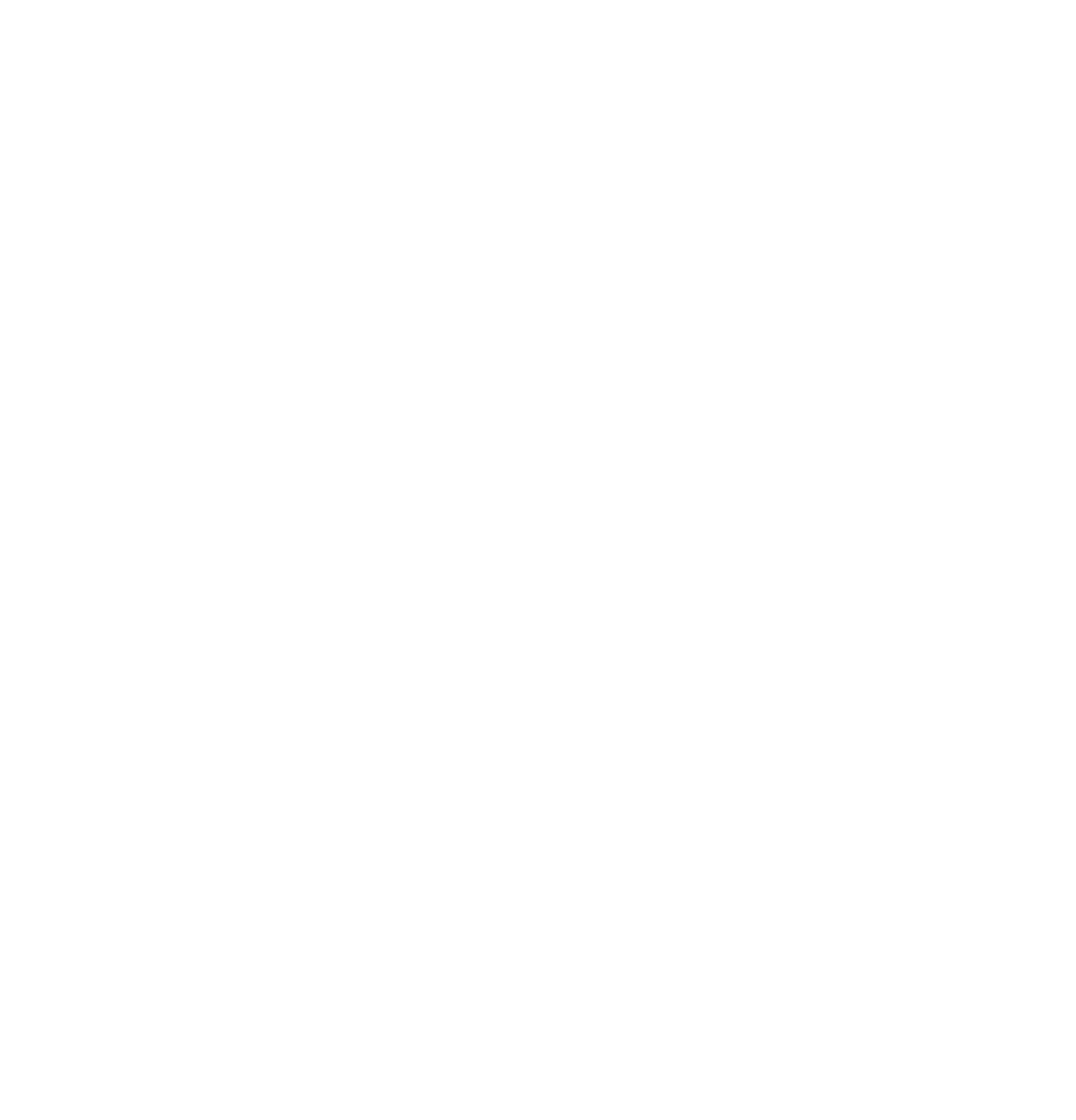 Buena Vista Creative Bird Icon